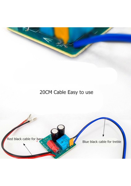 2x 60W 2 Yolu Ses Hoparlör Frekans Bölücü Tiz Bas Tws 2 Birim Crossover Aksesuar (Yurt Dışından) fiyatları
