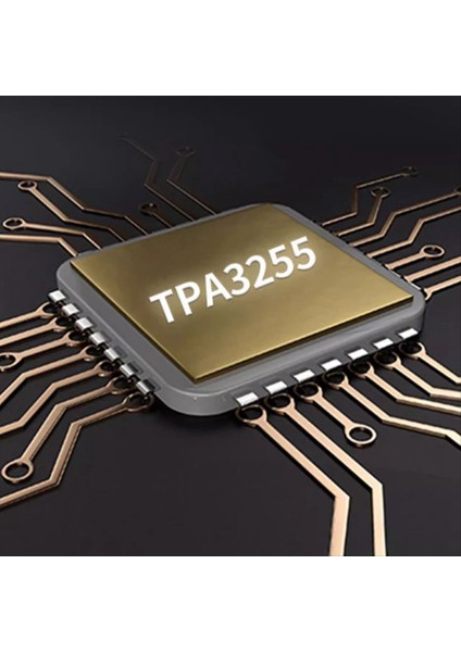 SAMP-200 Hıfı Çift Çekirdek TPA3255 Stereo Amplifikatör Kart 2 Kanal 600W+600W Sınıf D Dijital Güç Amplifikatörü TL072 Op Amp (Yurt Dışından) modelleri