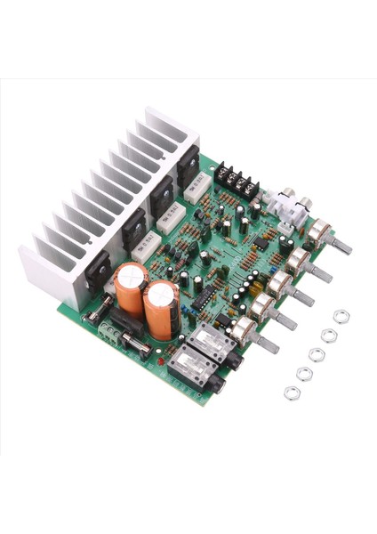 Ses Amplifikatör Kartı Hıfı Dijital Yankı Güç Amplifikatörü 250W x 2 2 0 Ses Preamp Ton Kontrolü ile Arka Amplifikasyon E3-004 (Yurt Dışından) modelleri