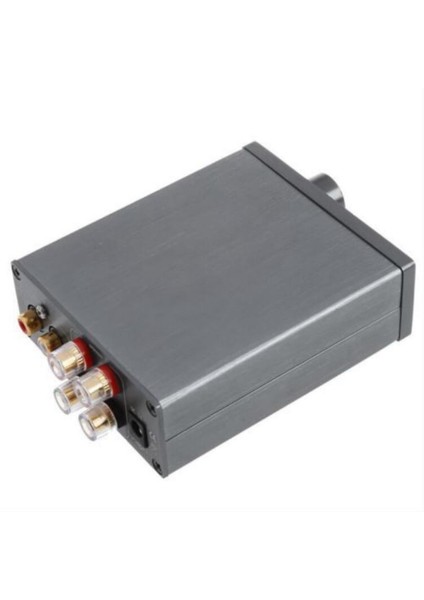 TPA3116 Dijital Güç Amplifikatörü Hıfı Sınıf 2 0 D Stereo Masaüstü Ses Amp 50WX2 100WX2 Home Stereo Hoparlör (Yurt Dışından)