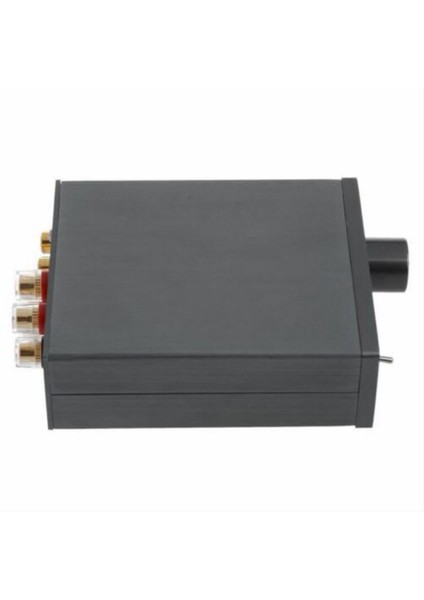 TPA3116 Dijital Güç Amplifikatörü Hıfı Sınıf 2 0 D Stereo Masaüstü Ses Amp 50WX2 100WX2 Home Stereo Hoparlör (Yurt Dışından) fiyatları