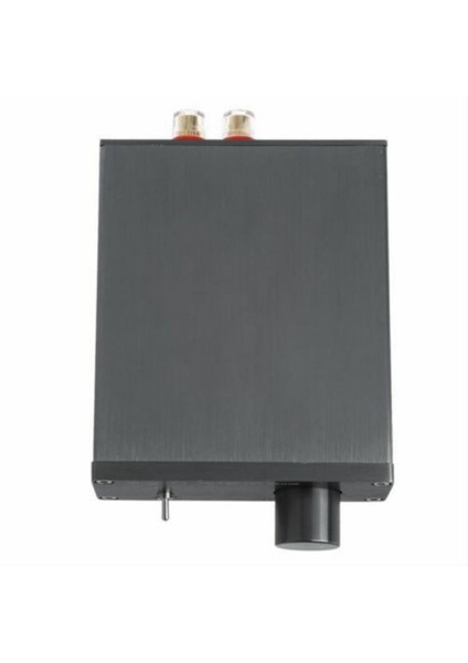 TPA3116 Dijital Güç Amplifikatörü Hıfı Sınıf 2 0 D Stereo Masaüstü Ses Amp 50WX2 100WX2 Home Stereo Hoparlör (Yurt Dışından) modelleri