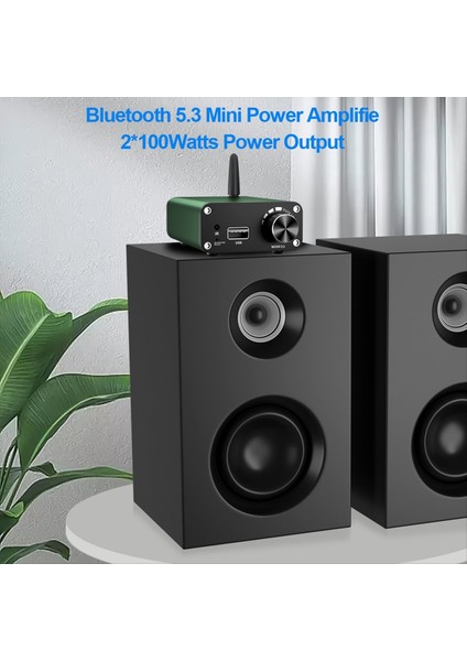 Bluetooth Ses Amplifikatörü TPA3116 Stereo 2 0 Kanal D Sınıfı Ev Sineması Amplifikatörü 200W Power Dijital Ses Amplifikatörü (Yurt Dışından) fırsatları