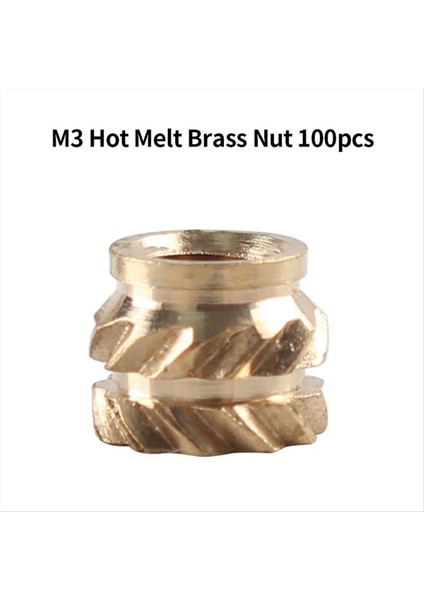 Isı Ekleme Somun Demir Uç TS100 Lehimleme Demir Uç Ekleme Dahili Diş Kafası M2-M8 Pirinç Sıcak Eriyik Ekleme Somun Kiti (Yurt Dışından) modelleri