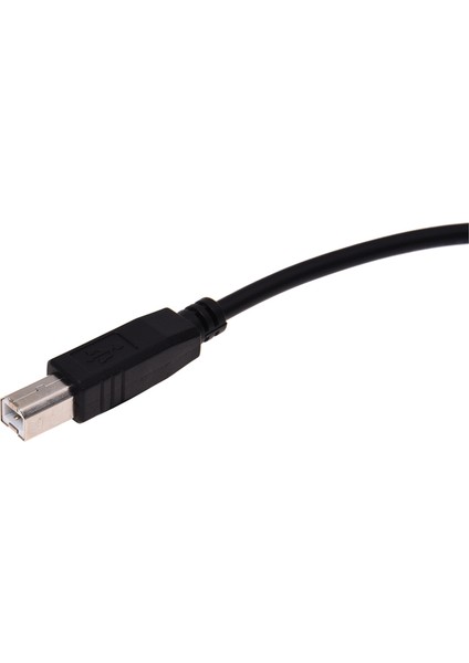 Canon Pixma Için 2x USB 2 0 Yazıcı Kablo Kablosu A-B 1 8m (Yurt Dışından) fırsatları