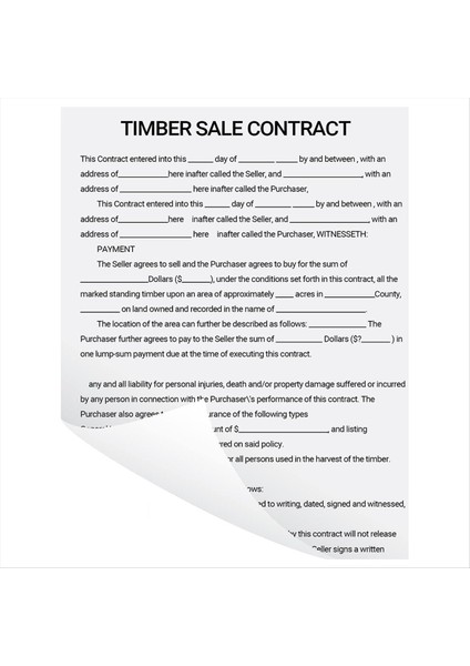 Phomemo A4 Termal Kağıt M08F Yazıcı Hızlı Tip Kimli Termal Kağıt Dokümanları Çalışma Notları (Yurt Dışından) modelleri