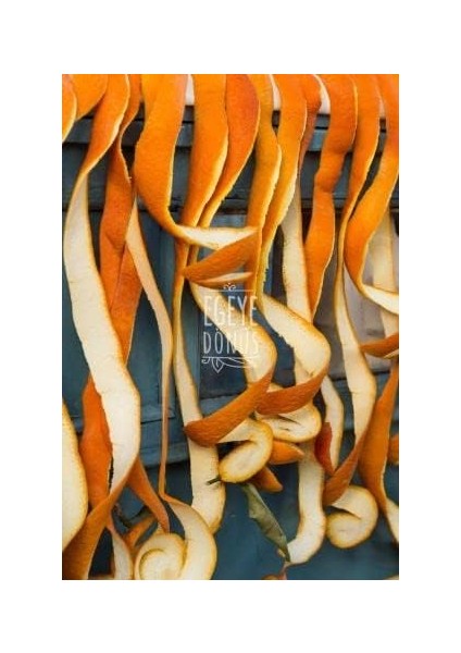 Egeye Dönüş Portakal Kabuğu Tozu - 100 Gr. (Öğütülmüş Kuru Portakal Kabuğu - Doğal Aroma Verici - Glütensiz Sporcu Gıdası) modelleri