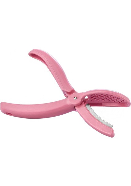 Kestane Çizici Chesnut Cutter, Çok Renkli, Medium