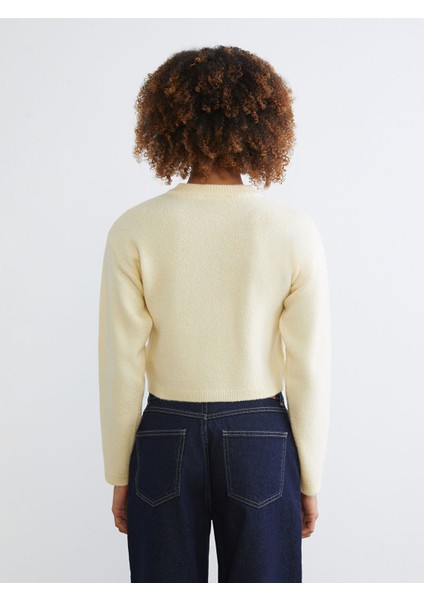 Yeni Sezon Bisiklet Yaka Kadın Triko Hırka fırsatları