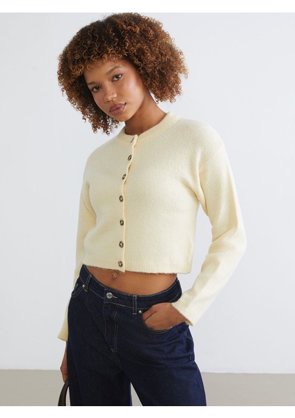 Yeni Sezon Bisiklet Yaka Kadın Triko Hırka