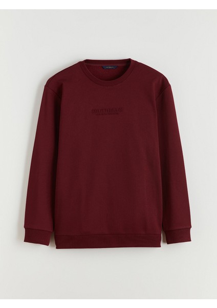 Yeni Sezon Bisiklet Yaka Baskılı Erkek Sweatshirt indirimleri