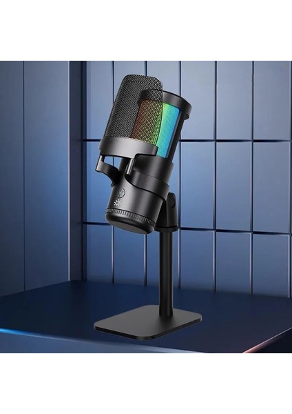 Profesyonel Stüdyo Mikrofon, Dinamik Aralık 88DB, Hassasiyet -43DB±1DB, Kayıt Condenser Masaüstü Canlı Yayın Mikrofonu Pc USB C, Oyun, Podcast, Kayıt, Yayın, Asmr Sessiz/eko PW13