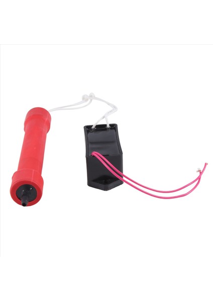 2g Ozon Jeneratör Aksesuarları Dıy Ev Hava Temizleyicisi Su Tesisi Temizleyici Sterilizasyon Dezenfeksiyon Malzemeleri (Yurt Dışından) indirimleri