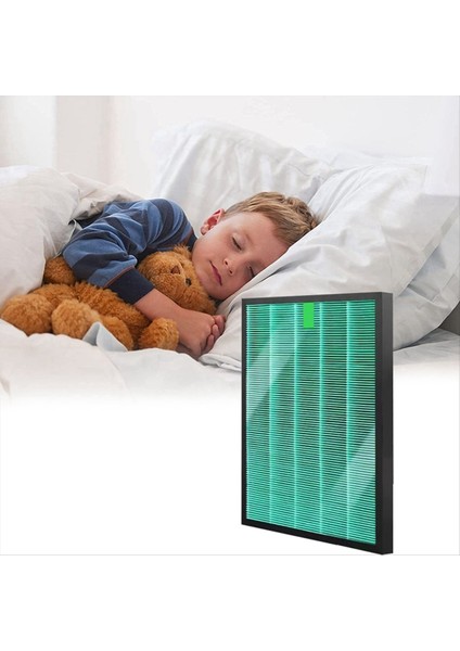 Keskin FU-G50 FU-H50 FU-J50 FU-GM50 True H13 Aktif Karbon Hepa Filtresi (Yurt Dışından) indirimleri