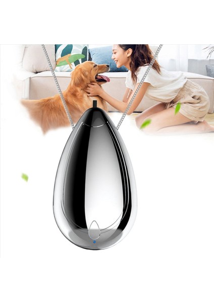 4x Mini Giyilebilir Hava Temizleyici Kişisel Seyahat Boyutu Hava Temizleyici Kolye ve Taşınabilir USB Şarj Duman Temizleyici Gümüş (Yurt Dışından) indirimleri