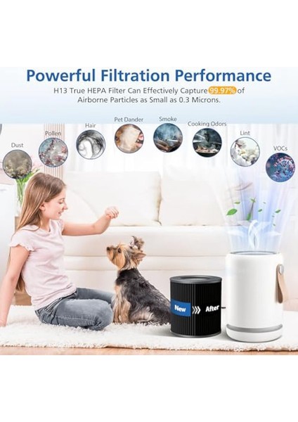 Molekule Air Mini Molekule Air Mini+ Hava Arıcılar Için Air Mini Peco-Hepa Yedek Filtreler 2 Paket (Yurt Dışından) modelleri