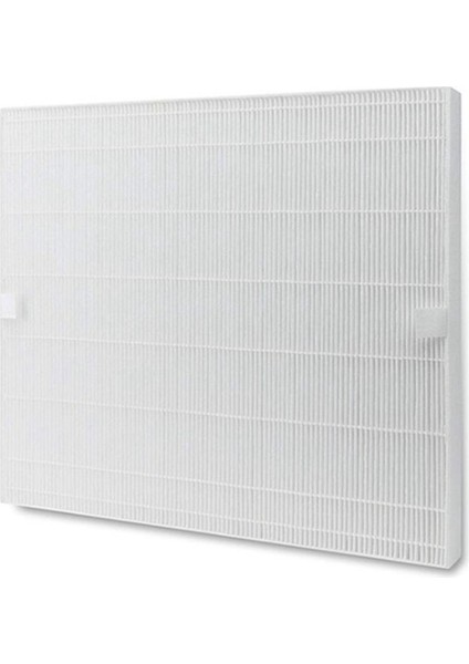 AP-1512HH Coway Airmega Için Yedek Filtre AP1512HH Hava Temizleyicisi 3304899 2 Hepa Filtreleri ve 4 Karbon Filtresi (Yurt Dışından) fiyatları