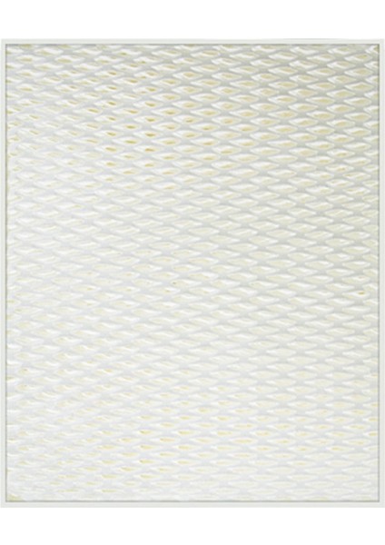 4pcs Değiştirme Nemlendirici Filtreler Stadler Formu Için Uygun Oskar Evaporatif Nemlendirici Ev Temizleme Hava Nemlendiricisi (Yurt Dışından) fiyatları