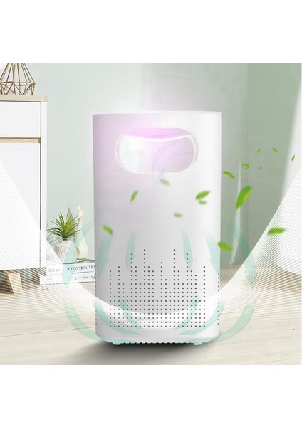 2x Ev Büyük Oda Yatak Odası Hava Arıtma Pet Koku Arıtma Polen Filtre Formaldehit Ev Arıcı (Yurt Dışından) fiyatları