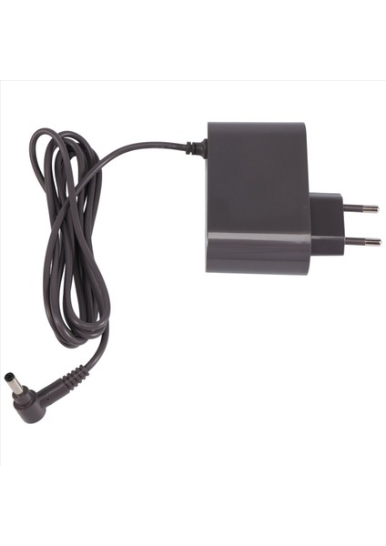 Dyson V10 V11 Için Şarj Cihazı Vakum Süpürge Güç Kablosu Adaptörü Değiştirilebilir Parçalar Ab Fişi (Yurt Dışından)