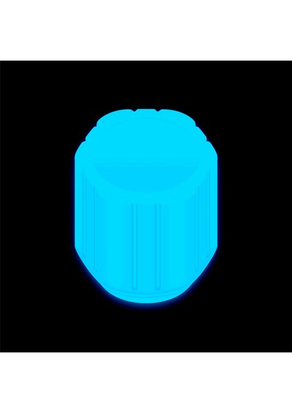 40PCS Glow Valf Kapağı Floresan Mavi Karşılık (Yurt Dışından) modelleri