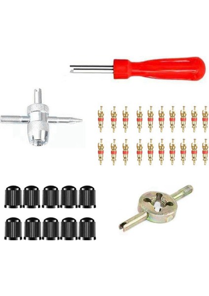 Araba Bisiklet Oluklu Tutmalı Lastik Valfi Kök Çekirdek Çekirdek Çekirdek Tornavida Lastik Onarım Takım Kiti Otomatik Motosiklet (Yurt Dışından)