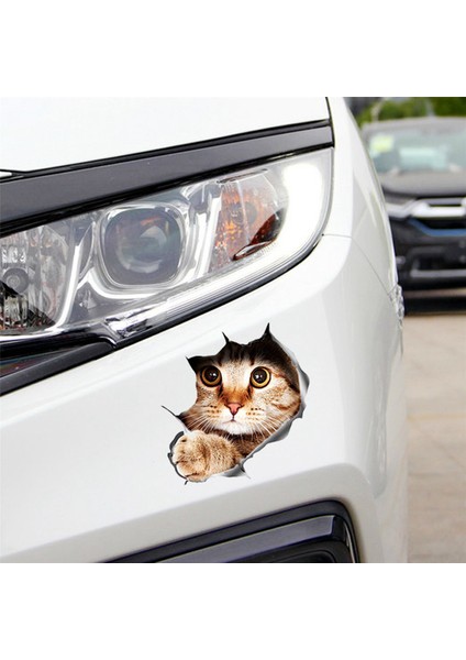 (12 Adet) 3D Kedi Araba Çıkartmaları Pencere, Kamyon, Araba, Dizüstü Veya Ipad Için Çıkartma / Çıkartma (Yurt Dışından) fiyatları