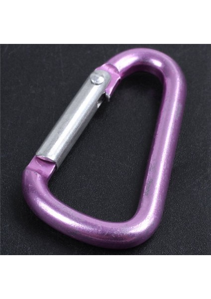 4x Pembe Alüminyum Alaşım D-Şekilli Yaylı Kapı Kapanma Karabinası (Yurt Dışından) indirimleri