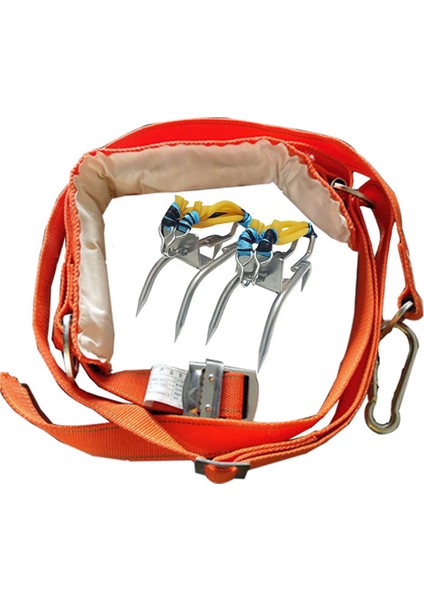 Kutup Tırmanma Çivili Ağaç Tırmanma Artışları Kabezi Kemeri Tırmanma Ağaç Dişleri Tırmanma Ağaçları Açık Hava Sporları (Yurt Dışından)