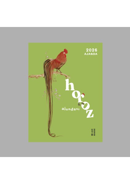 2026 Horoz Ajandası fiyatları