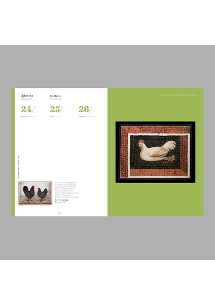 2026 Horoz Ajandası fırsatları