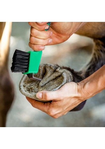 Sağlam Atlı Toynak Toplama Fırçası Yumuşak Saplı Taşınabilir Hoofpick 3pcs (Yurt Dışından) indirimleri