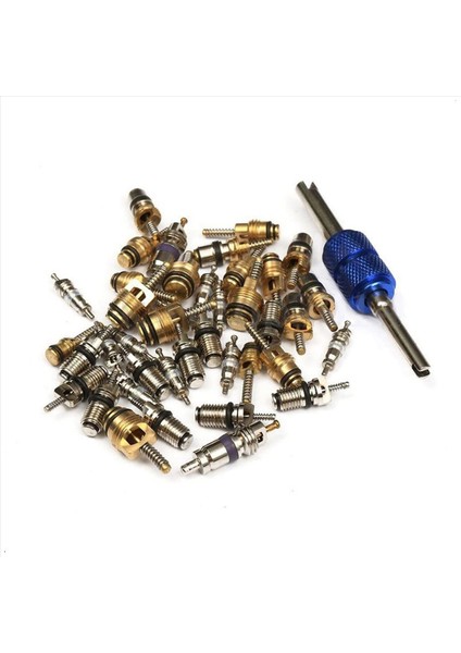 80PCS Klima Klima Klima Valf Çekirdeği R12 R134A Valf Kök Çekirdek Çıkma Aracı Araba Otomatik Klima Aracı (Yurt Dışından) modelleri