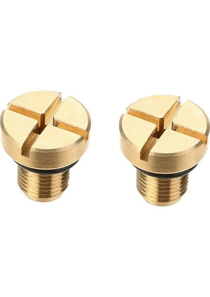 2x 17111712788 Radyatör Taşma Soğutucu Genişletme Tank Bleeder Vidalı Bmw E36 E39 E46 Vb (Yurt Dışından)