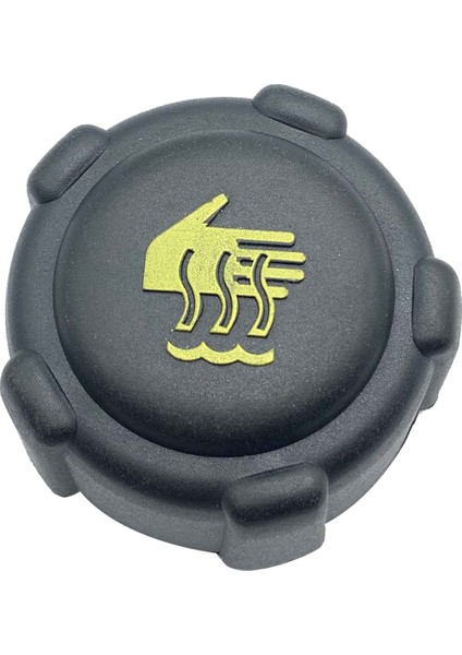 Araba Motor Radyatör Genişleme Su Tankı Kapağı 21430-AX300 21430-AX30A Renault Clio Kangoo Laguna Megane Nissan (Yurt Dışından)