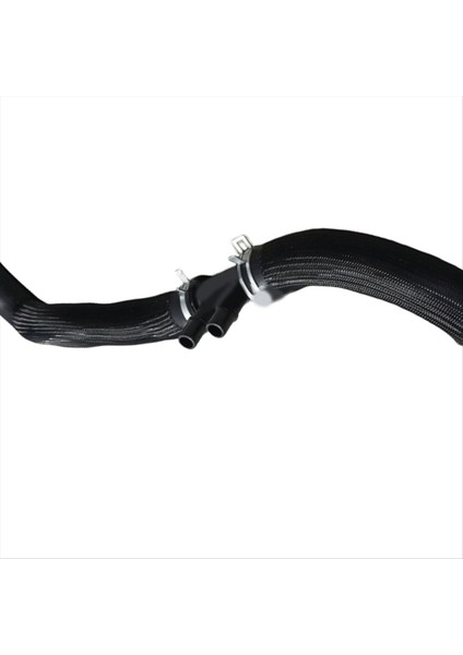 HL3Z8260C Çift Delikli Su Deposu Yukarı Su Borusu Radyatör Soğutucu Hortumu Ford F150 6 Cyl 3 5l Gtdı 2017-2020 (Yurt Dışından) fırsatları