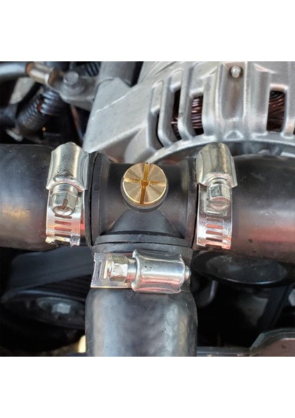 17111712788 Radyatör Taşma Soğutucu Genişleme Tank Bleeder Bleeder Vidası Bmw E36 E39 E46 E90 X1 X3 Z3 Z4 325I 525I (Yurt Dışından) modelleri