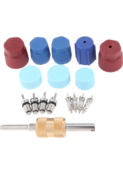 17PCS Klima Valf Çekirdek Kit Vanalı Çekirdek Aksesuarları A/c R12 R134A Soğutma Valfi Kök Çekirdek Çıkma Aracı (Yurt Dışından)