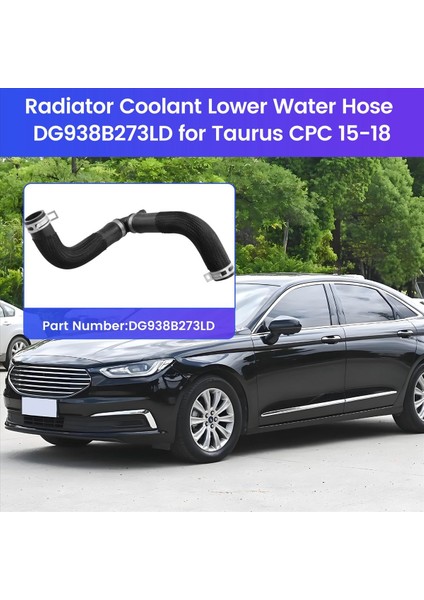 1 Pcs Radyatör Soğutucu Alt Su Hortumu Ford Taurus Cpc Için DG938B273LD 15-18 (Yurt Dışından) fırsatları