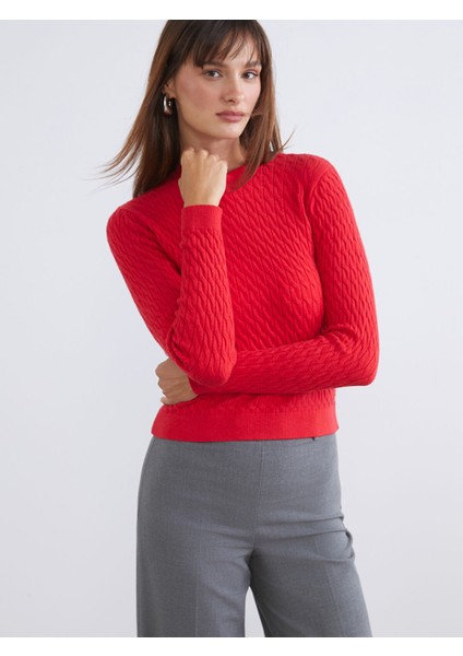 Yeni Sezon Bisiklet Yaka Kendinden Desenli Kadın Triko Kazak