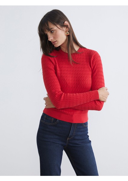 Yeni Sezon Bisiklet Yaka Kendinden Desenli Kadın Triko Kazak fiyatları