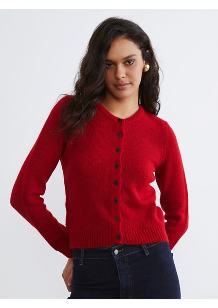 Yeni Sezon Bisiklet Yaka Kadın Triko Hırka