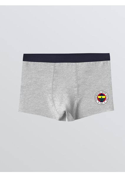 Yeni Sezon Fenerbahçe Baskılı Erkek Çocuk Boxer 2'li modelleri
