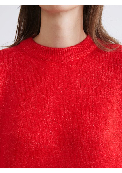 Yeni Sezon Bisiklet Yaka Kadın Triko Kazak modelleri