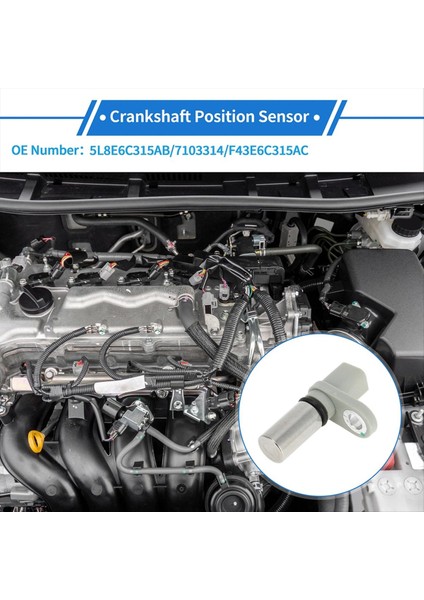 Krank Mili Konum Sensörü 1S7E6C315BA 5L8E6C315AA Ford Contour 2 5l 1995-2000 (Yurt Dışından) fiyatları