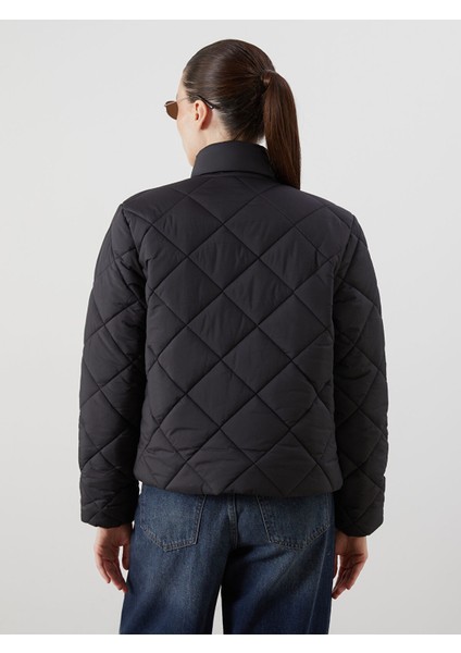 Yeni Sezon Dik Yaka Kadın Şişme Mont fırsatları