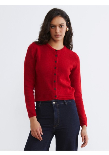 Yeni Sezon Bisiklet Yaka Kadın Triko Hırka fiyatları