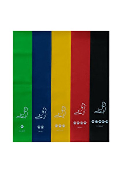 Direnç Bandı Seti 5'li Yüksek Kalite Doğal Lateks ile Tüm Vücut Antrenmanı 1 Adet modelleri