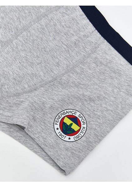 Yeni Sezon Fenerbahçe Baskılı Erkek Çocuk Boxer 2'li modelleri