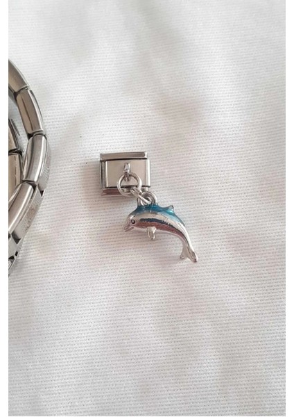 Italyan Charm Bileklik Charmı Şans Yunus Model 1 Adet fiyatları